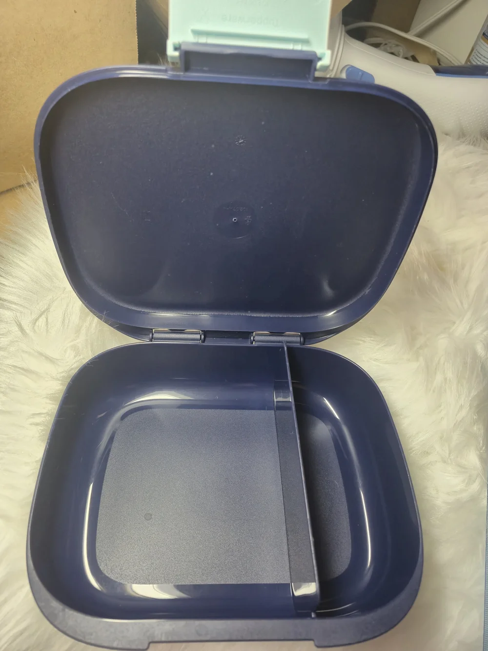 Tupperware Navy Blue Lunch Box with Mint Green Latch